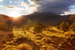 American prairie